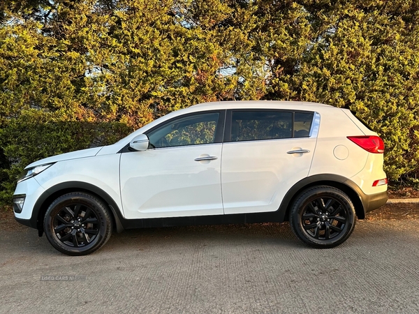 Kia Sportage ESTATE in Antrim