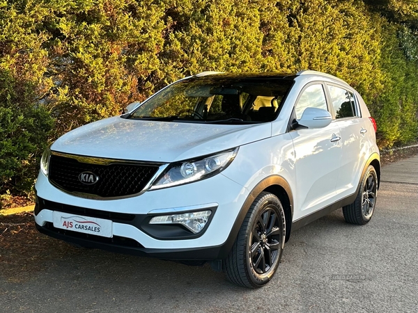 Kia Sportage ESTATE in Antrim