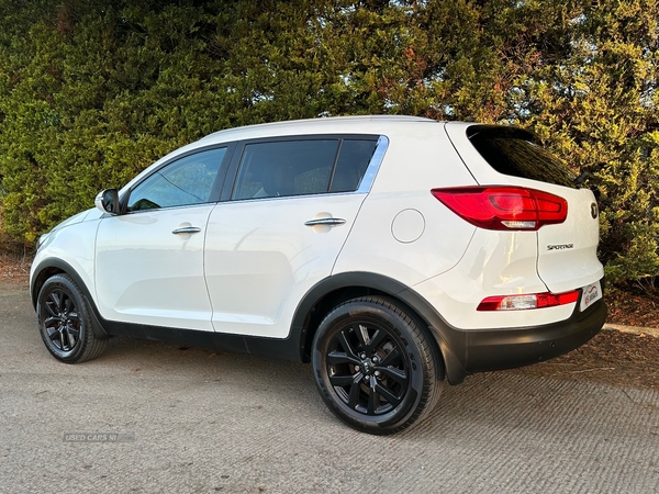 Kia Sportage ESTATE in Antrim