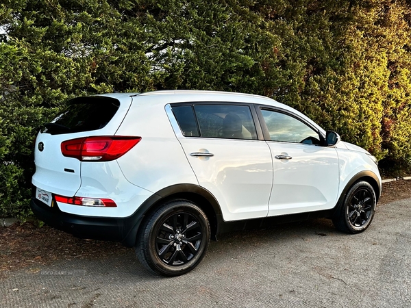 Kia Sportage ESTATE in Antrim