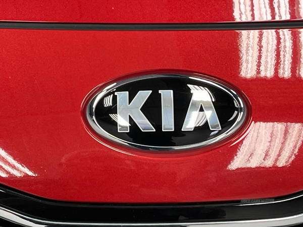 Kia Sportage 1.6T Gdi Isg 4 5Dr Dct Auto [Awd] in Antrim