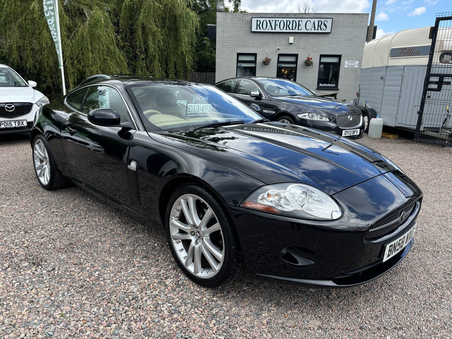 Jaguar XK COUPE in Antrim