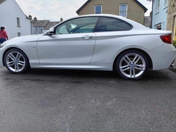BMW 2 Series 218d [150] M Sport 2dr in Down