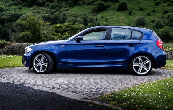 BMW 1 Series 116i M Sport 5dr [122] in Down