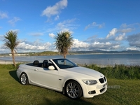 BMW 3 Series 320d M Sport 2dr in Down