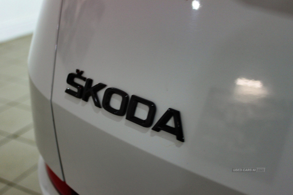 Skoda Kodiaq SE L TDI SCR 4x4 Semi-Auto in Derry / Londonderry