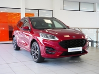 Ford Kuga ST-LINE X EDITION in Tyrone