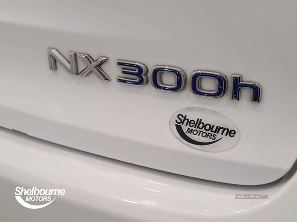 Lexus NX ESTATE - 2017 300h 2.5 F-Sport 5dr CVT [Premium Nav] in Down