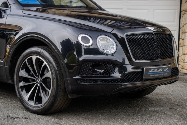 Bentley Bentayga ESTATE in Down