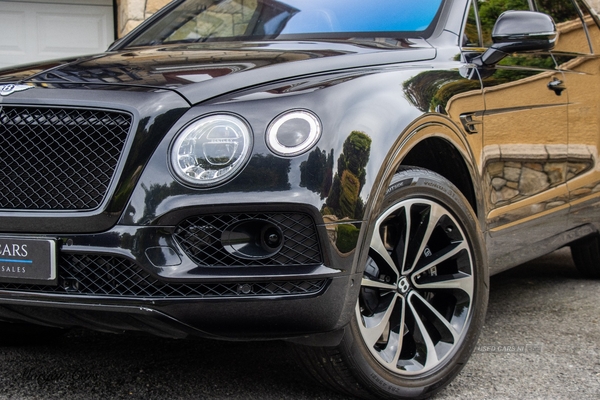 Bentley Bentayga ESTATE in Down