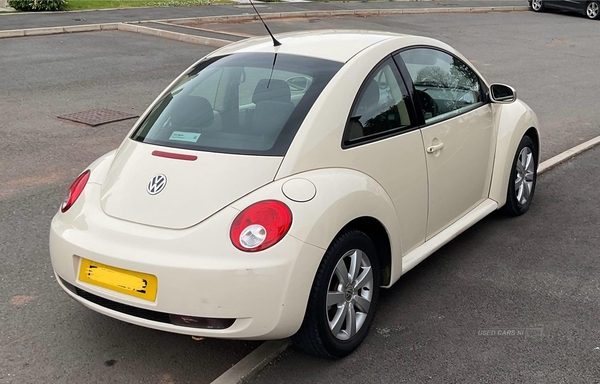 Volkswagen Beetle 1.9 TDi 3dr in Tyrone