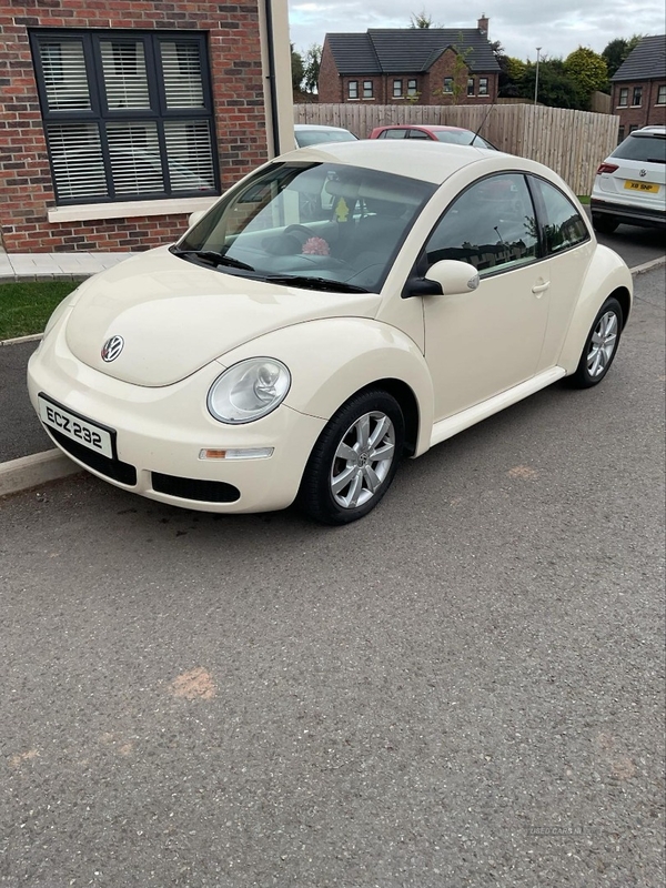 Volkswagen Beetle 1.9 TDi 3dr in Tyrone