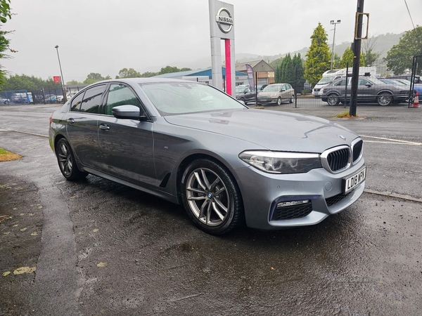BMW 5 Series 2.0 520d M Sport Auto Euro 6 (s/s) 4dr in Down