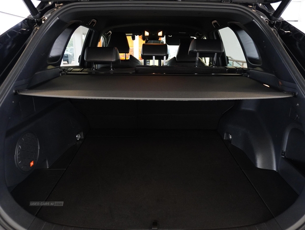 Toyota RAV4 VVT-I BLACK EDITION in Tyrone