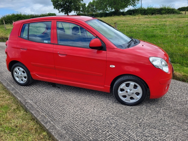 Kia Picanto HATCHBACK SPECIAL EDITION in Armagh