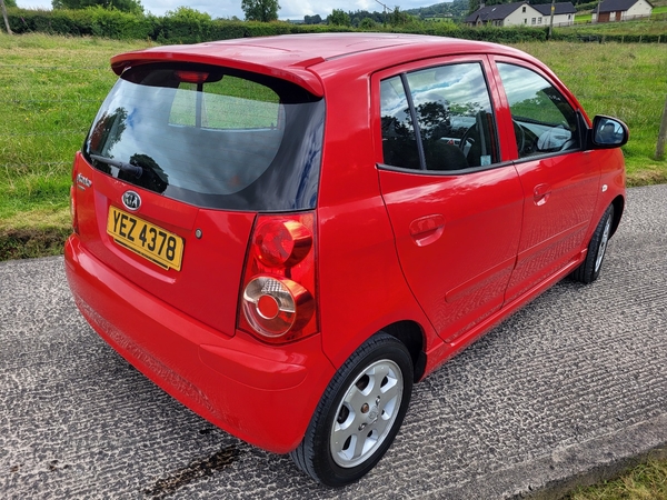 Kia Picanto HATCHBACK SPECIAL EDITION in Armagh