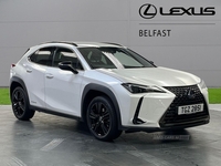 Lexus UX 250H 2.0 5Dr Cvt [Without Nav] in Antrim