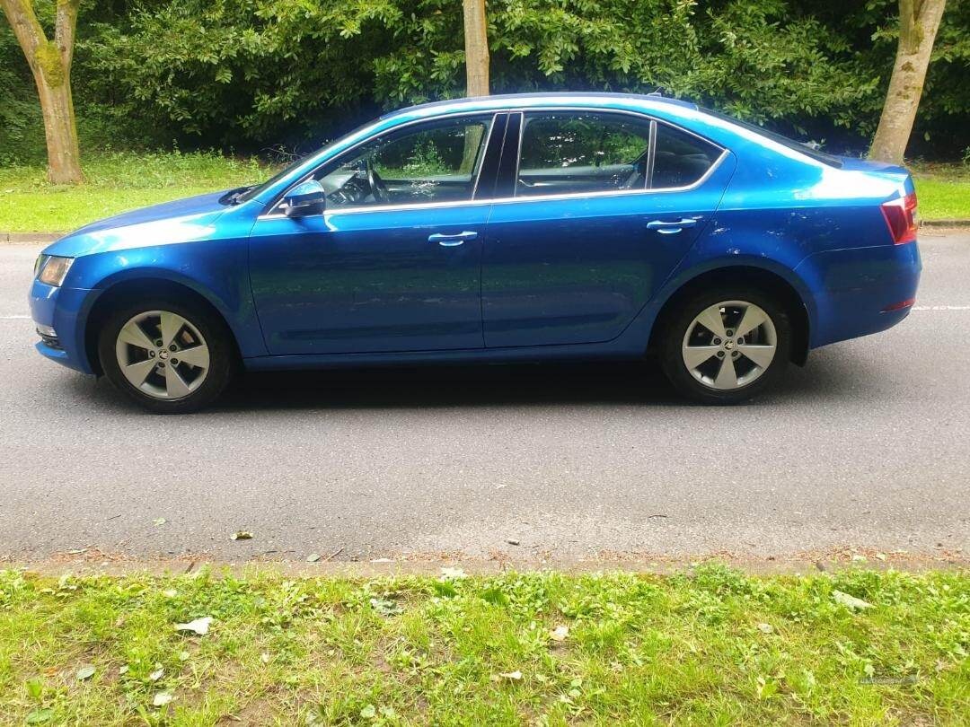 Skoda Octavia DIESEL HATCHBACK in Armagh