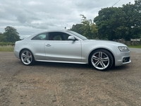 Audi A5 S5 Quattro 2dr in Derry / Londonderry