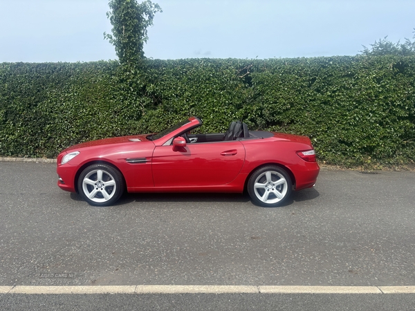 Mercedes SLK-Class DIESEL ROADSTER in Derry / Londonderry