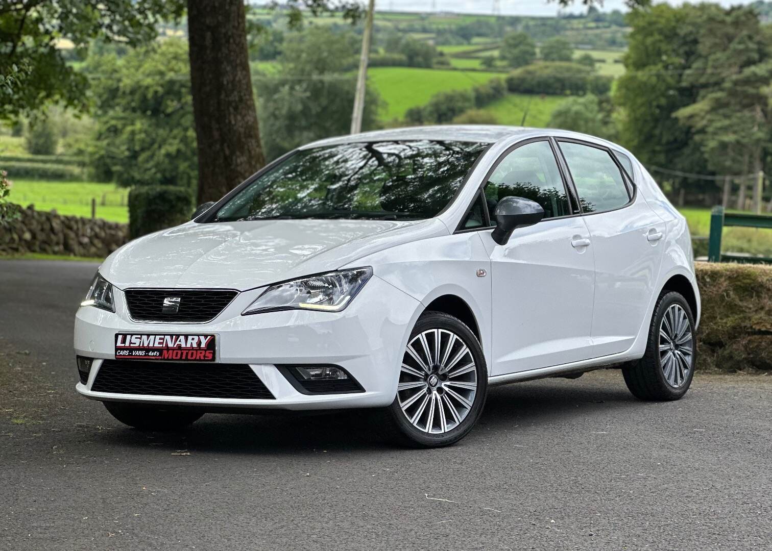 Seat Ibiza HATCHBACK SPECIAL EDITION in Antrim