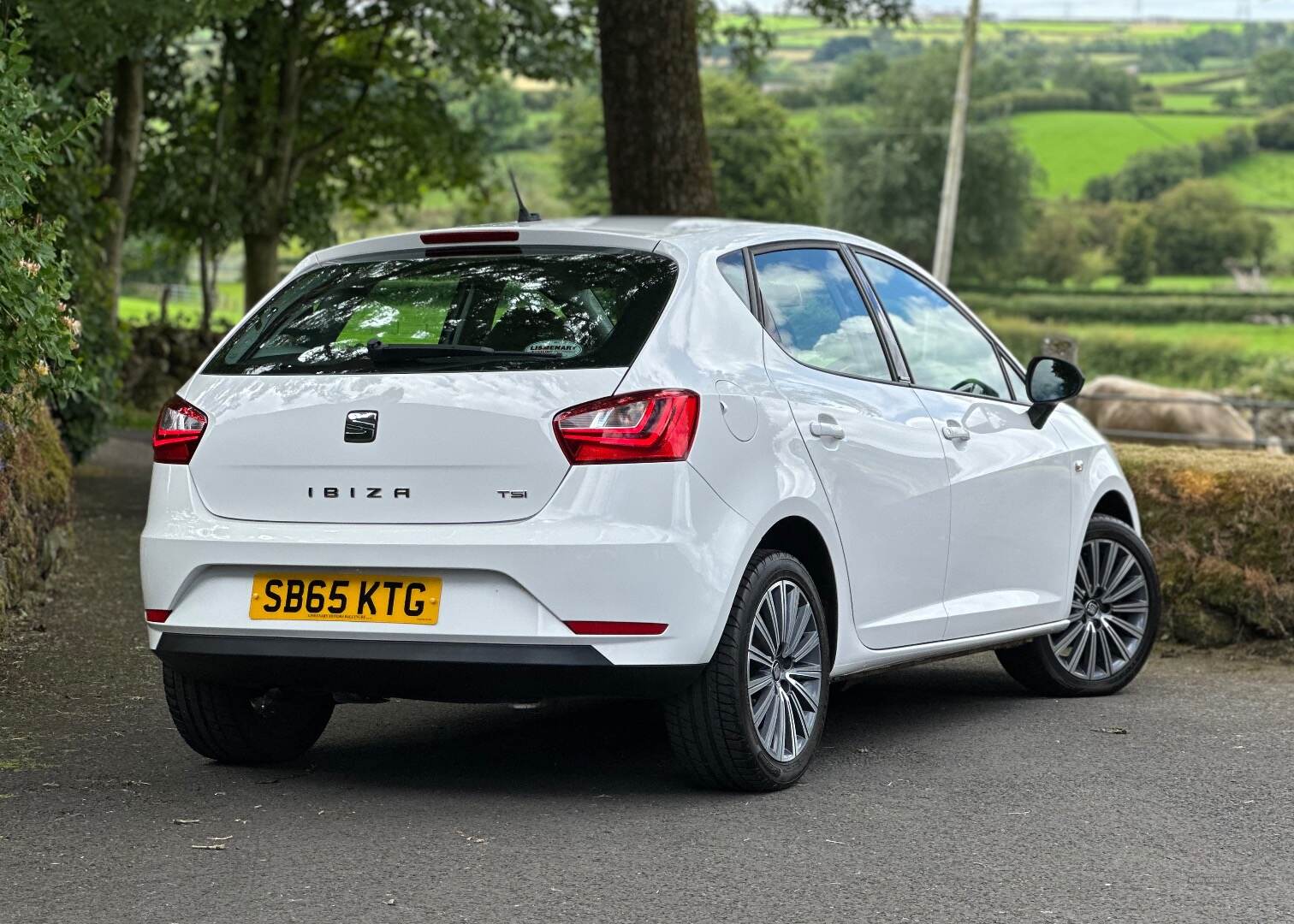 Seat Ibiza HATCHBACK SPECIAL EDITION in Antrim