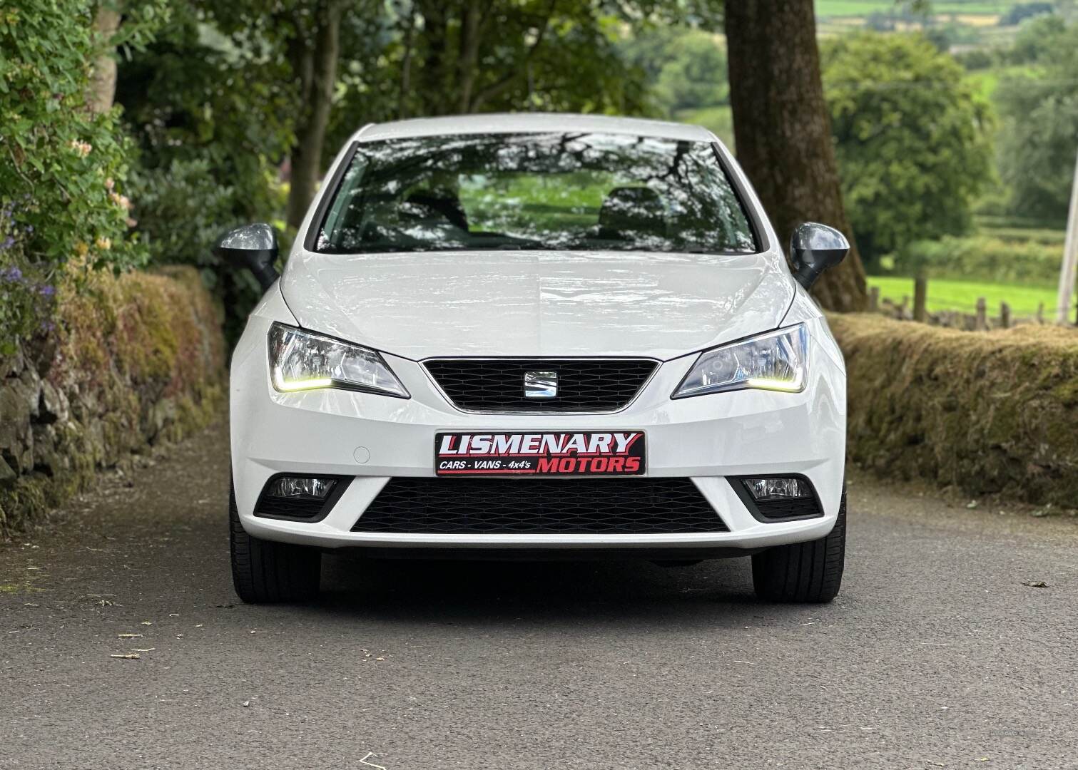 Seat Ibiza HATCHBACK SPECIAL EDITION in Antrim