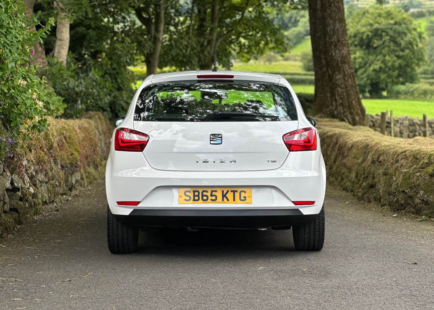 Seat Ibiza HATCHBACK SPECIAL EDITION in Antrim