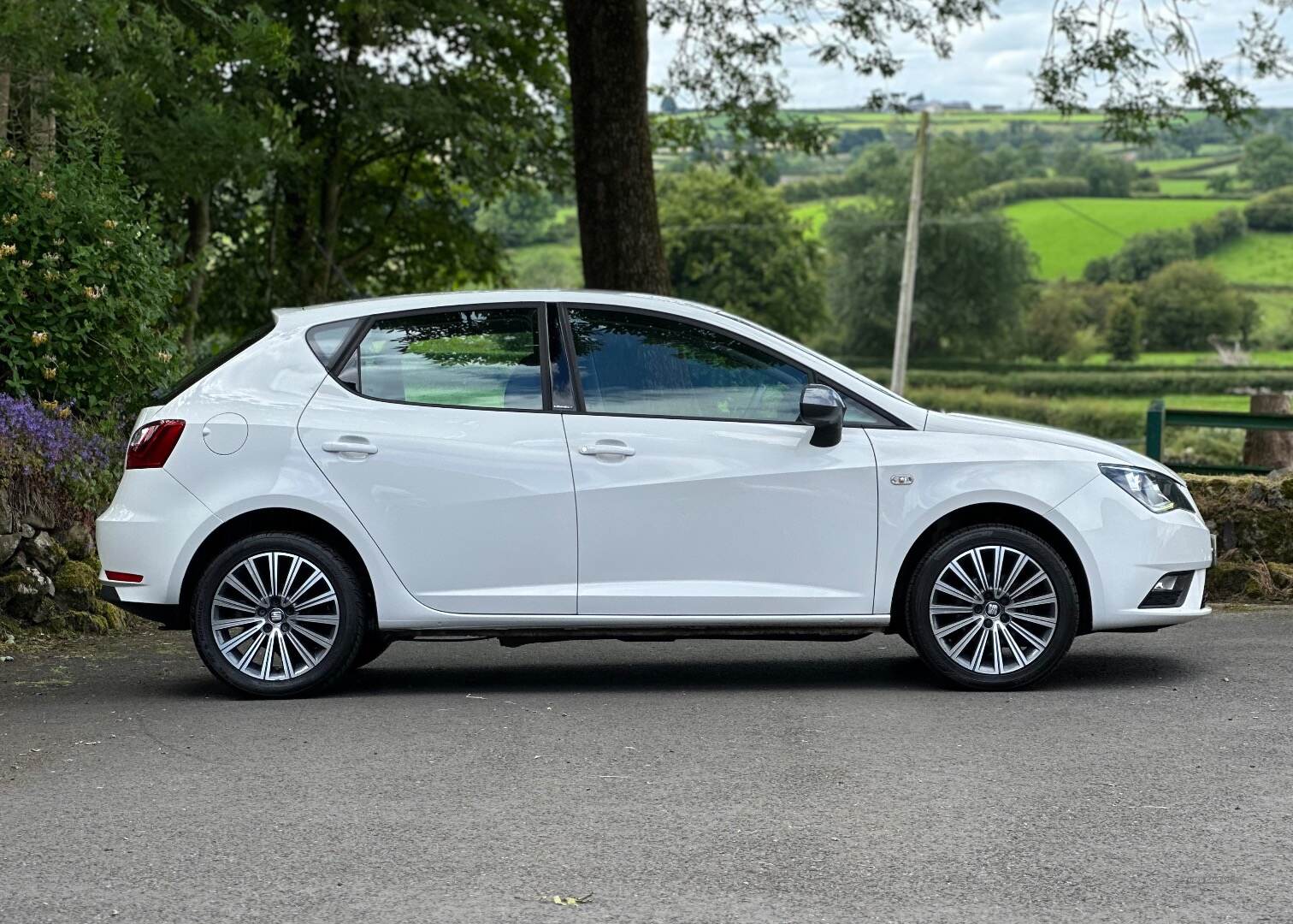 Seat Ibiza HATCHBACK SPECIAL EDITION in Antrim