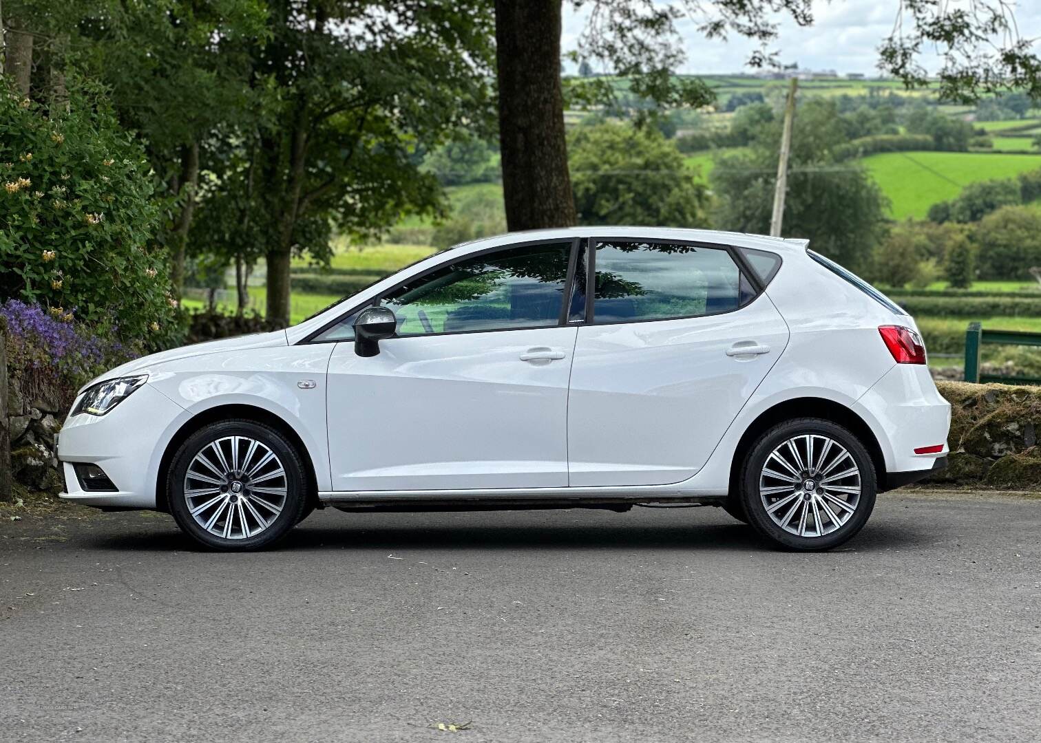 Seat Ibiza HATCHBACK SPECIAL EDITION in Antrim