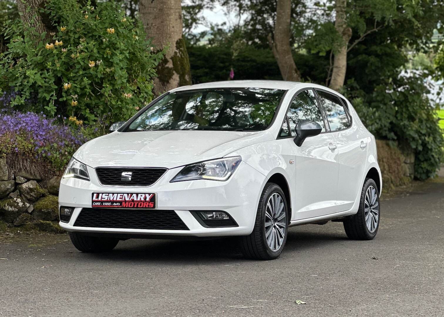 Seat Ibiza HATCHBACK SPECIAL EDITION in Antrim