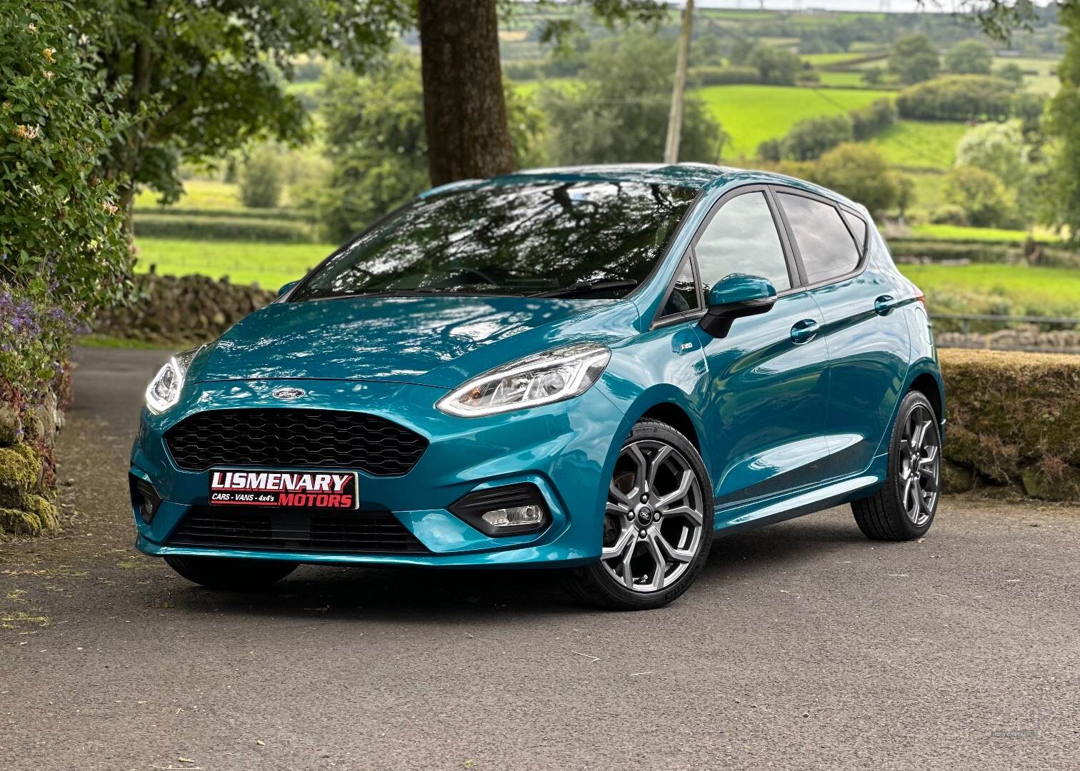 Ford Fiesta HATCHBACK in Antrim