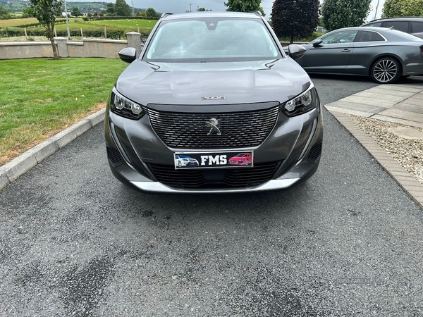 Peugeot 2008 1.5 BlueHDi 110 Allure 5dr in Down