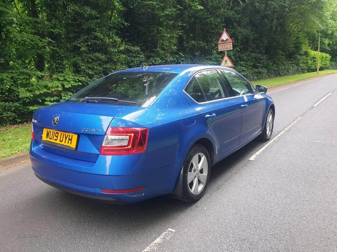 Skoda Octavia DIESEL HATCHBACK in Armagh