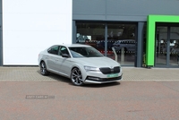 Skoda Superb Hatch SportLine Plus 2.0 TDI 150 PS DSG in Antrim