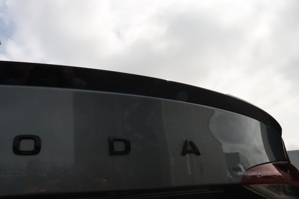 Skoda Octavia VRS TDI DSG in Antrim