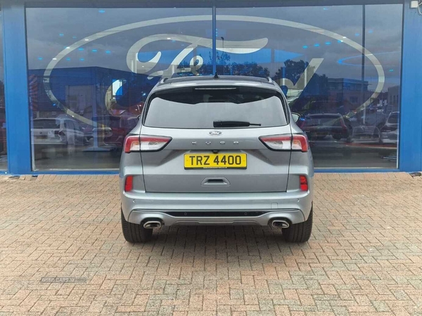 Ford Kuga ST-Line X Edition in Derry / Londonderry