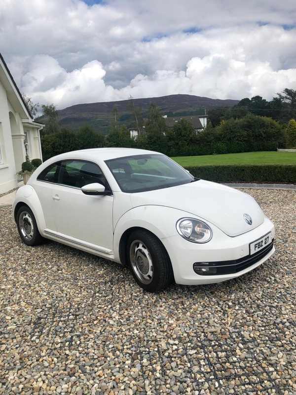 Volkswagen Beetle 1.4 TSI Design 3dr in Armagh