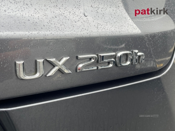 Lexus UX 250h 2.0 F-Sport Design 5dr CVT in Tyrone