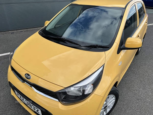 Kia Picanto LEVEL 2 1.0 DPI 66BHP 5DR 4 SEATS in Armagh