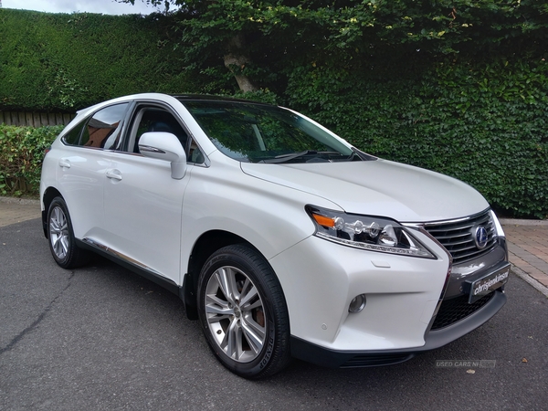 Lexus RX-Series ESTATE SPECIAL EDITIONS in Antrim