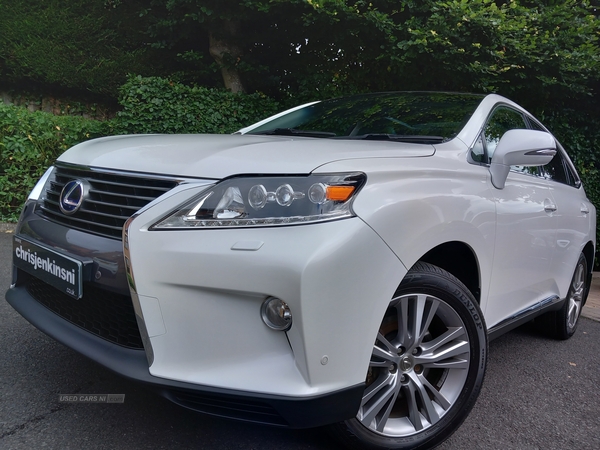 Lexus RX-Series ESTATE SPECIAL EDITIONS in Antrim