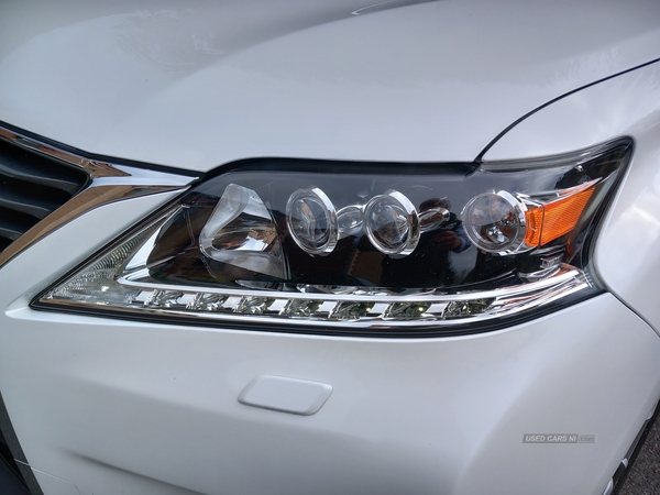 Lexus RX-Series ESTATE SPECIAL EDITIONS in Antrim