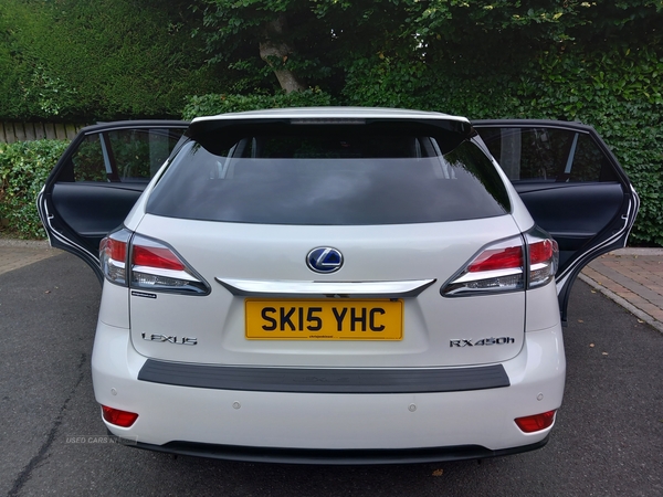 Lexus RX-Series ESTATE SPECIAL EDITIONS in Antrim