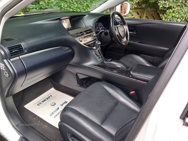 Lexus RX-Series ESTATE SPECIAL EDITIONS in Antrim