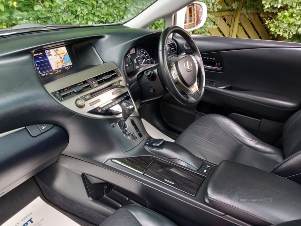 Lexus RX-Series ESTATE SPECIAL EDITIONS in Antrim