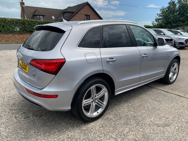 Audi Q5 ESTATE SPECIAL EDITIONS in Down