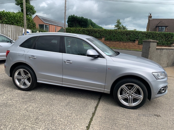 Audi Q5 ESTATE SPECIAL EDITIONS in Down