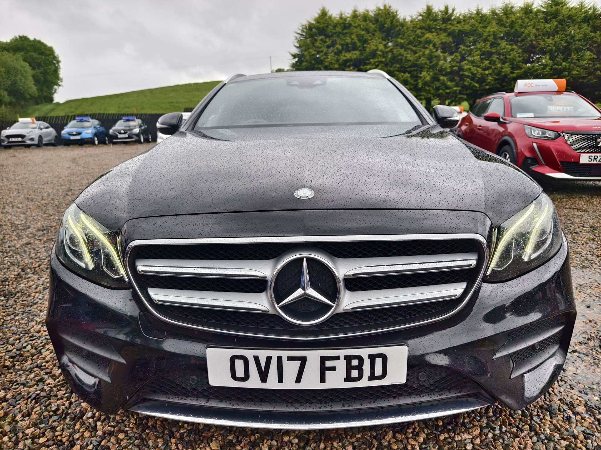 Mercedes E-Class DIESEL ESTATE in Fermanagh