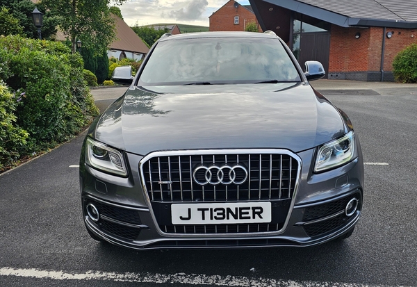 Audi Q5 2.0 TDI Quattro S Line Plus 5dr S Tronic in Antrim